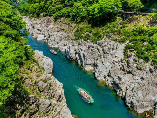 貸切絶景ツアー　人気遊覧船に乗船！　大歩危峡遊覧船＋かずら橋＋琵琶の滝　大歩危峡＆祖谷渓谷をクイック観光＜2時間／1～9名／大歩危駅発＞