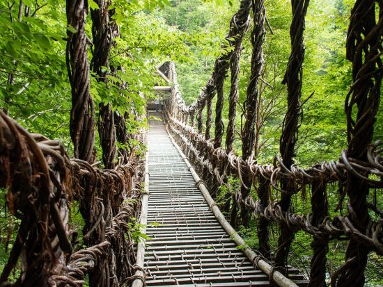 貸切絶景ツアー　祖谷の秘境を巡る！　かずら橋＋祖谷渓ひの字＋琵琶の滝＋小便小僧＋平家屋 敷＜所要時間 約2.5時間／1～9名／選べる出発時間／大歩危駅発＞
