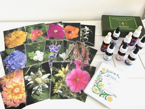 【女性限定】フラワーセラピー体験 ミニフラワーカウンセリング【30分】＜恵比寿＞by ブルーベルフラワーセラピーアカデミー