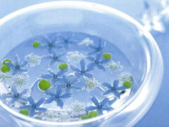 【女性限定】フラワーセラピー体験 ミニフラワーカウンセリング【30分】＜恵比寿＞by ブルーベルフラワーセラピーアカデミー