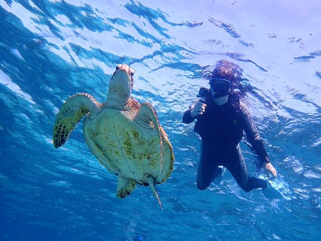 カヤック・カヌー | 宮古島 旅行の観光・オプショナルツアー予約