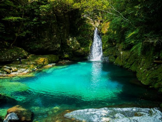 貸切観光タクシー 神秘の青「仁淀ブルー」を満喫！にこ渕＋水晶渕＋名越屋沈下橋＆中津渓谷 桂浜も追加OK＜4時間半～7時間／選べる出発時間／高知空港・高知市内発＞
