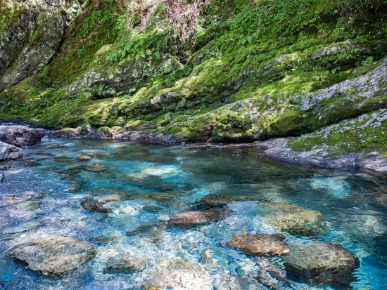 貸切観光タクシー 神秘の青「仁淀ブルー」を満喫！にこ渕＋水晶渕＋名越屋沈下橋＆中津渓谷 桂浜も追加OK＜4時間半～7時間／選べる出発時間／高知空港・高知市内発＞