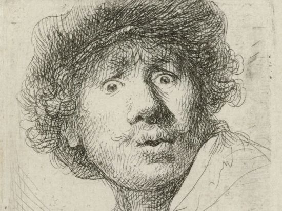 日本語ガイドの解説で鑑賞！「アムステルダム国立美術館」見学ツアー＜貸切／2時間／アムステルダム発＞