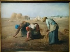 millet