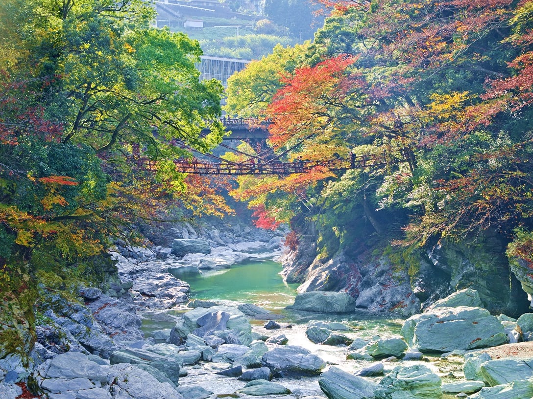 大歩危・祖谷 | 徳島の観光&遊び・体験・レジャー専門予約サイト 