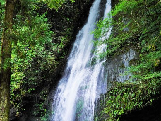 貸切絶景ツアー　人気遊覧船に乗船！　大歩危峡遊覧船＋かずら橋＋琵琶の滝　大歩危峡＆祖谷渓谷をクイック観光＜2時間／1～9名／大歩危駅発＞