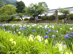 吉香公園