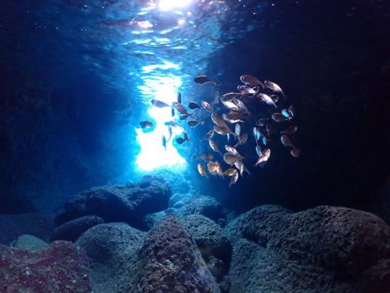 宮古島 青の洞窟シュノーケリング＋体験ダイビング マンツーマン制で安心！ビジャスリーフも楽しめちゃう！＜ボート／1ダイブ／シュノーケル2ポイント／伊良部島＞