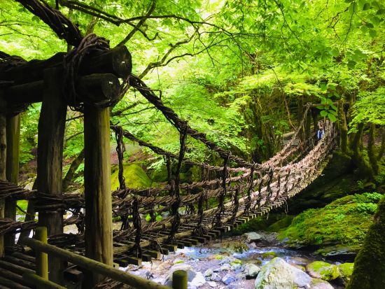 貸切絶景ツアー　人気遊覧船に乗船！　大歩危峡遊覧船＋かずら橋＋琵琶の滝　大歩危峡＆祖谷渓谷をクイック観光＜2時間／1～9名／大歩危駅発＞