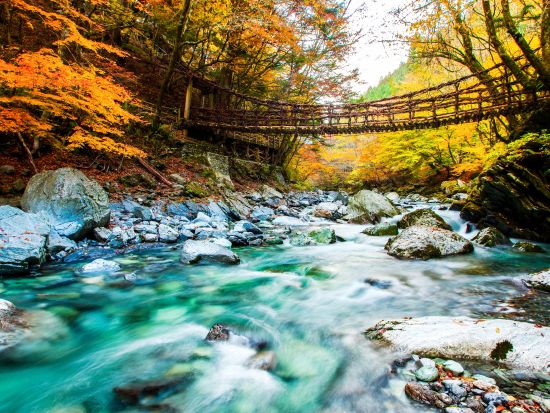 貸切ハイキングツアー　日本百名山＆奥祖谷観光！　剣山＋二重かずら橋＋野猿＋かかしの里＜8時間／1～9名／大歩危駅発＞