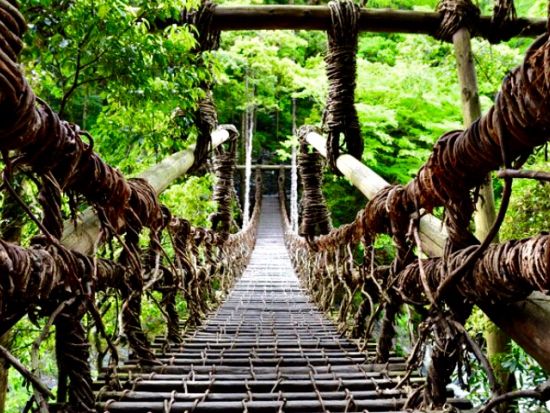 貸切定番観光ツアー　徳島の人気観光名所を1日で！　鳴門の渦潮＋大歩危＆祖谷＋大塚国際美術館＜10時間／1～9名／徳島市内・空港発＞