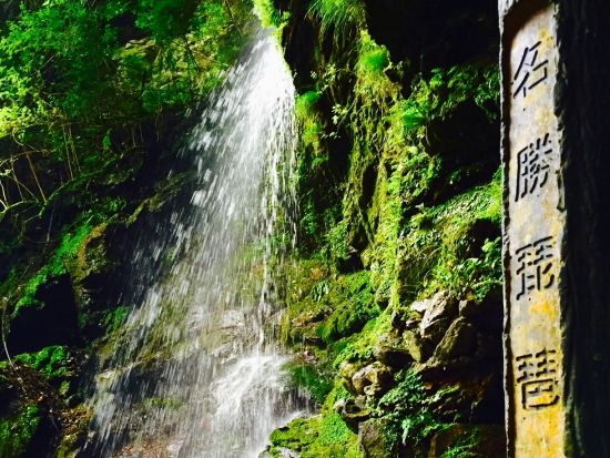 貸切定番観光ツアー　徳島の人気観光名所を1日で！　鳴門の渦潮＋大歩危＆祖谷＋大塚国際美術館＜10時間／1～9名／徳島市内・空港発＞