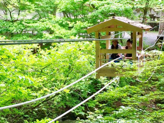 貸切ハイキングツアー　日本百名山＆奥祖谷観光！　剣山＋二重かずら橋＋野猿＋かかしの里＜8時間／1～9名／大歩危駅発＞