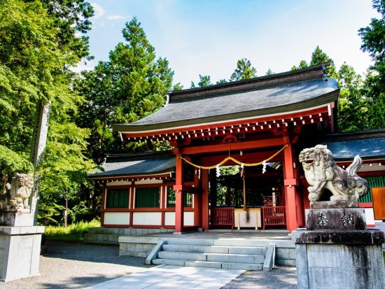 マウンテンバイク（MTB）体験　富士山の麓を駆け抜ける＜午前・午後／富士河口湖町＞