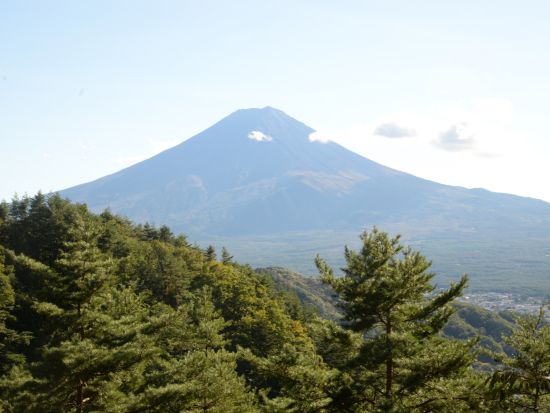 富士山トレッキングツアー　大平山～石割山ハイキングコースで植物観察＜1日／送迎付き／山中湖村＞