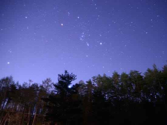 富士山麓 星空観察ツアー 地元の星マスターが星空を解説 大人から子供まで楽しめる 11 7月 ガイド付 山中湖村 山梨の観光 遊び 体験 レジャー専門予約サイト Veltra ベルトラ