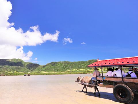 沖縄 石垣島 八重山 旅行の観光 オプショナルツアー予約 Veltra ベルトラ 沖縄 石垣島 八重山 旅行の観光 オプショナルツアー予約 Veltra ベルトラ
