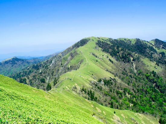 Japan_Tokushima_Tsurugisan_pixta_34148583_M