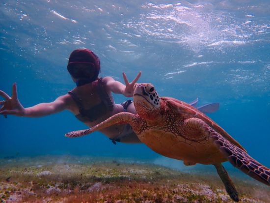 ウミガメシュノーケリングツアー 6歳から参加OK！お子様連れでも安心安全＜3月～11月催行／写真付き／宮古島＞