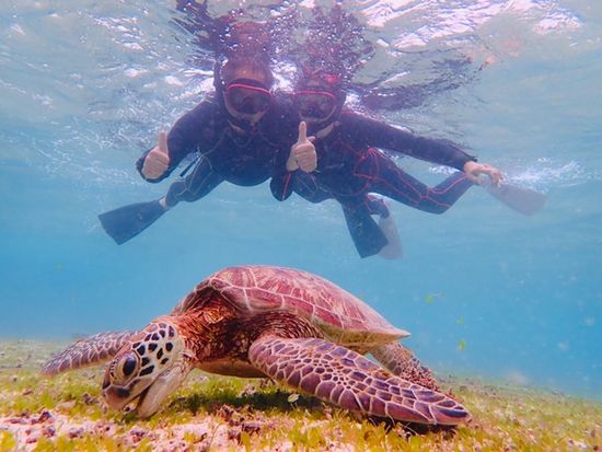 35717274.3f3db1dc77a746cb8869dafe59c6e14e.20112116