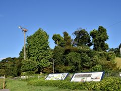 pixta_46335814_M