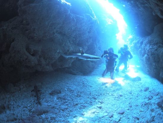 ファンダイビング　1グループ5名までの少人数制で初心者ダイバーもしっかりサポート＜ビーチ or ボート／1～3ダイブ／送迎あり／伊良部島・下地島・来間島他＞