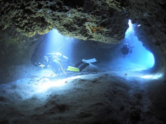 0FB6774151FC47588D0A52A31CF86B26