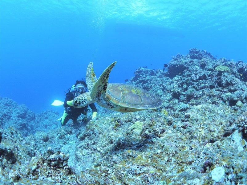 ファンダイビング | 宮古島 旅行の観光・オプショナルツアー予約