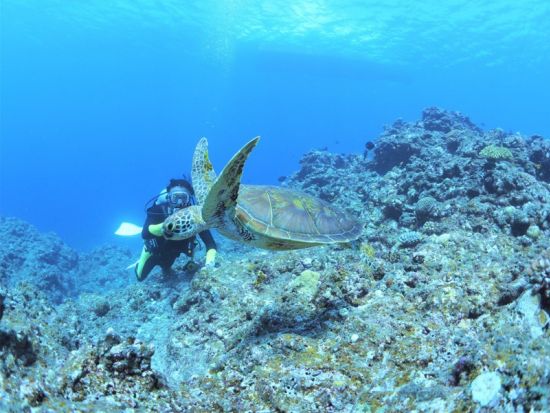 ファンダイビング　1グループ5名までの少人数制で初心者ダイバーもしっかりサポート＜ビーチ or ボート／1～3ダイブ／送迎あり／伊良部島・下地島・来間島他＞