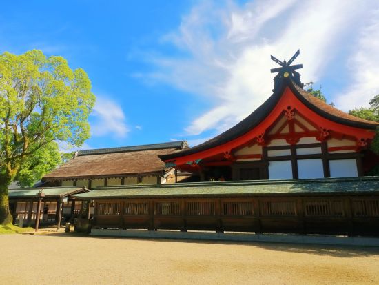 宗像市内発着観光タクシー「神宿る島」宗像・沖ノ島と関連遺産群をめぐる1日観光ツアー 宗像大社辺津宮、中津宮、沖津宮遥拝所＋新原・奴山古墳群＜～9名／東郷駅発＞ 