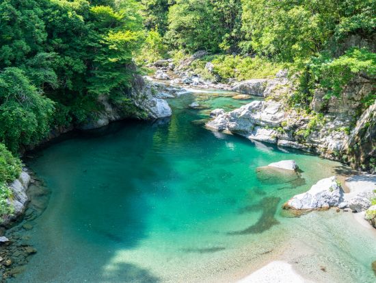 仁淀ブルーでクリアカヤック宙船（そらふね）体験  人気カフェスイーツ無料券プレゼント＜用具レンタル付／仁淀川町＞