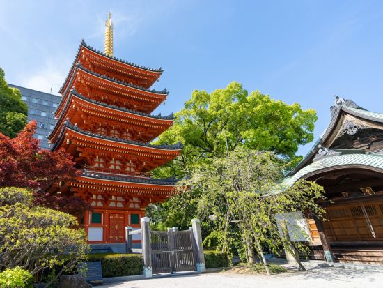 福岡市内発着貸切観光タクシー　福博まちあるきコース 櫛田神社＋東長寺＋柳橋連合市場　＜2.5時間／福岡市内・福岡空港発＞　by HEARTS TRIP