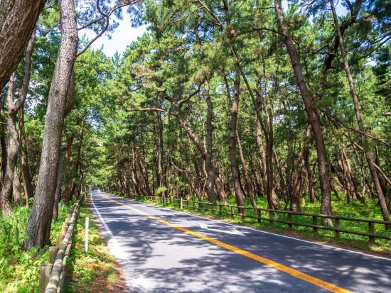 福岡市内発着観光タクシー　佐賀観光コース 唐津＋有田＋伊万里 ＜5時間／福岡市内・福岡空港発＞by HEARTS TRIP