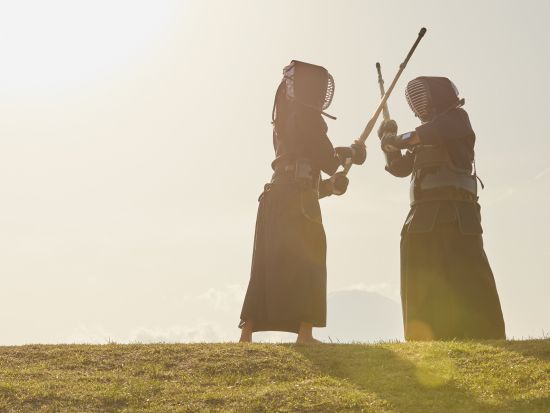 貸切「坂本龍馬」ツアー　桂浜＋坂本龍馬記念館＋和霊神社＋日根野道場＋誕生地の碑　土佐の英雄ゆかりの地＜3時間／選べる出発時間／空港送迎可／高知市発＞