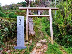 pixta_2001896_M
