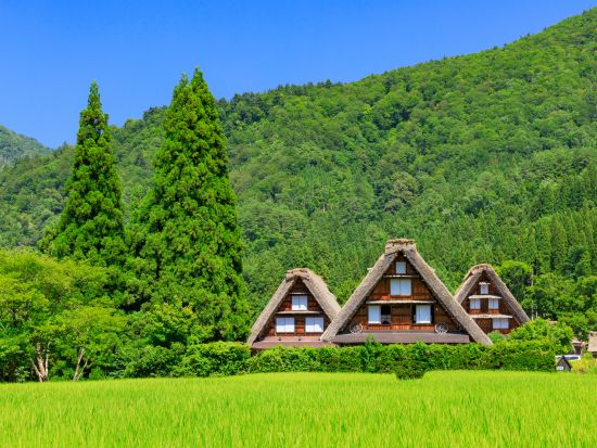金沢発着日帰りバスツアー 白川郷＋五箇山 2つの世界遺産めぐる合掌造り周遊 山の幸満載の昼食＜月・火・金 催行／添乗員同行／1日＞