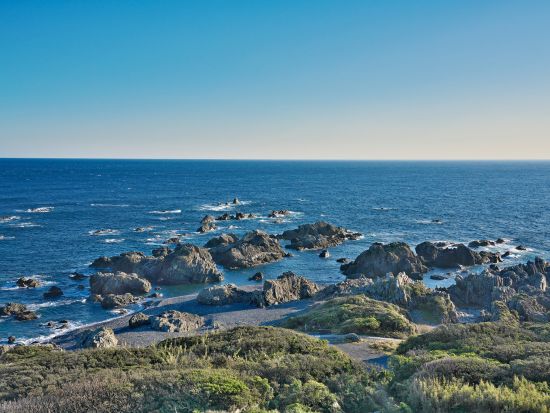 室戸岬の見所を制覇！　室戸ジオパーク＋中岡慎太郎像＋御蔵洞＋御崎寺＜貸切／8時間／選べる出発時間／高知市発＞