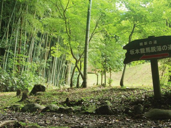 貸切歴史ツアー　和霊神社＋維新の群像＋脱藩の道＋吉村虎太郎生家　龍馬ゆかりの地と雲の上の町ゆすはら＜8時間／選べる出発時間／高知市発＞