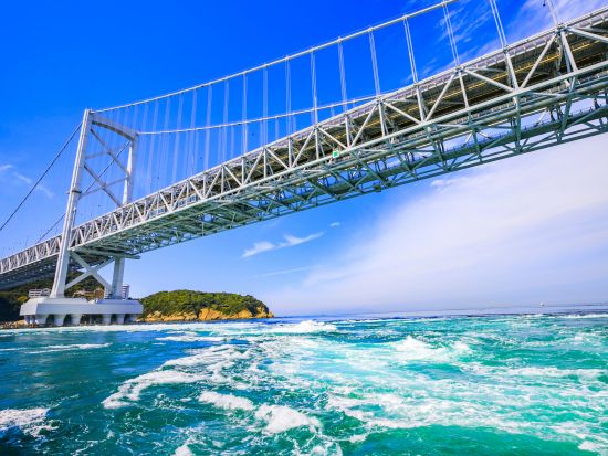 貸切定番観光ツアー　徳島の人気観光名所を1日で！　鳴門の渦潮＋大歩危＆祖谷＋大塚国際美術館＜10時間／1～9名／徳島市内・空港発＞