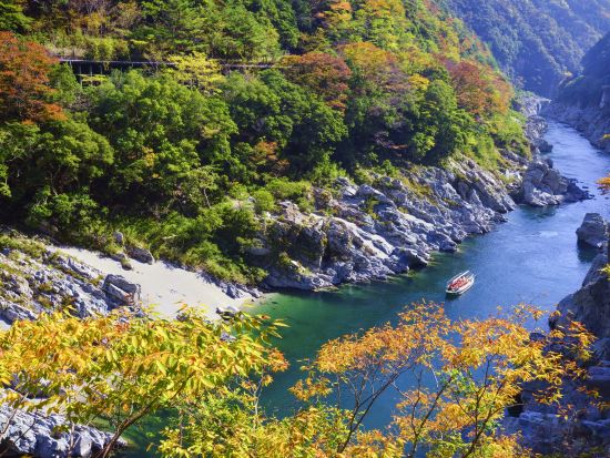 貸切定番観光ツアー　徳島の人気観光名所を1日で！　鳴門の渦潮＋大歩危＆祖谷＋大塚国際美術館＜10時間／1～9名／徳島市内・空港発＞