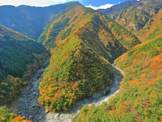 貸切絶景ツアー　祖谷名物「雲海」鑑賞と定番観光！　雲海展望台＋大歩危＆祖谷・祖谷＆奥祖谷　選べる観光2プラン＜5時間・8時間／1～9名／大歩危・祖谷温泉郷発＞