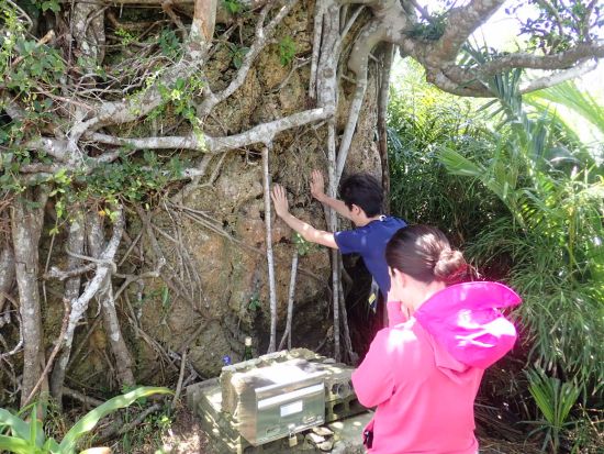 大神島上陸ツアー　船でパワースポット大神島へ！島内散策＋シュノーケリング体験＜半日・1日／昼食付きプランあり／宮古島＞