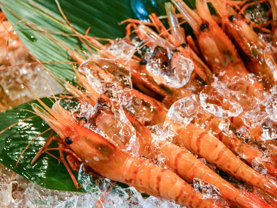 Japan_Tokyo_Tsujiki Market_pixta_37779236_XL
