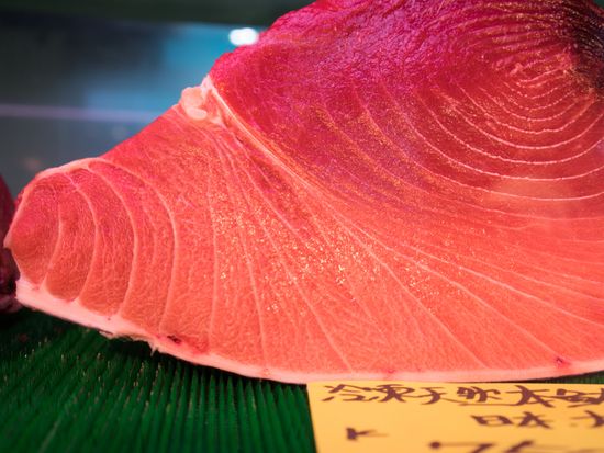 Japan_Tokyo_Tsujiki Market_pixta_43591006_XL