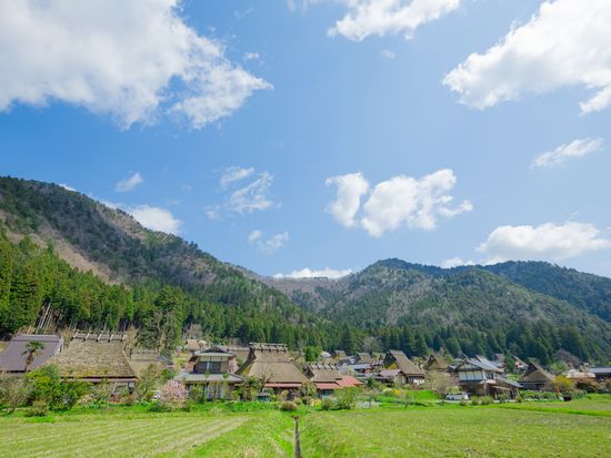 縺九ｄ縺ｶ縺阪・驥悟・譎ｯ