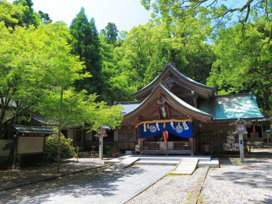 貸切「長宗我部元親」ツアー　長宗我部元親の像と墓＋一領具足供養の碑＋浦戸城跡　土佐の戦国大名と四国統一を辿る＜3時間／選べる出発時間／空港送迎可／高知市発＞