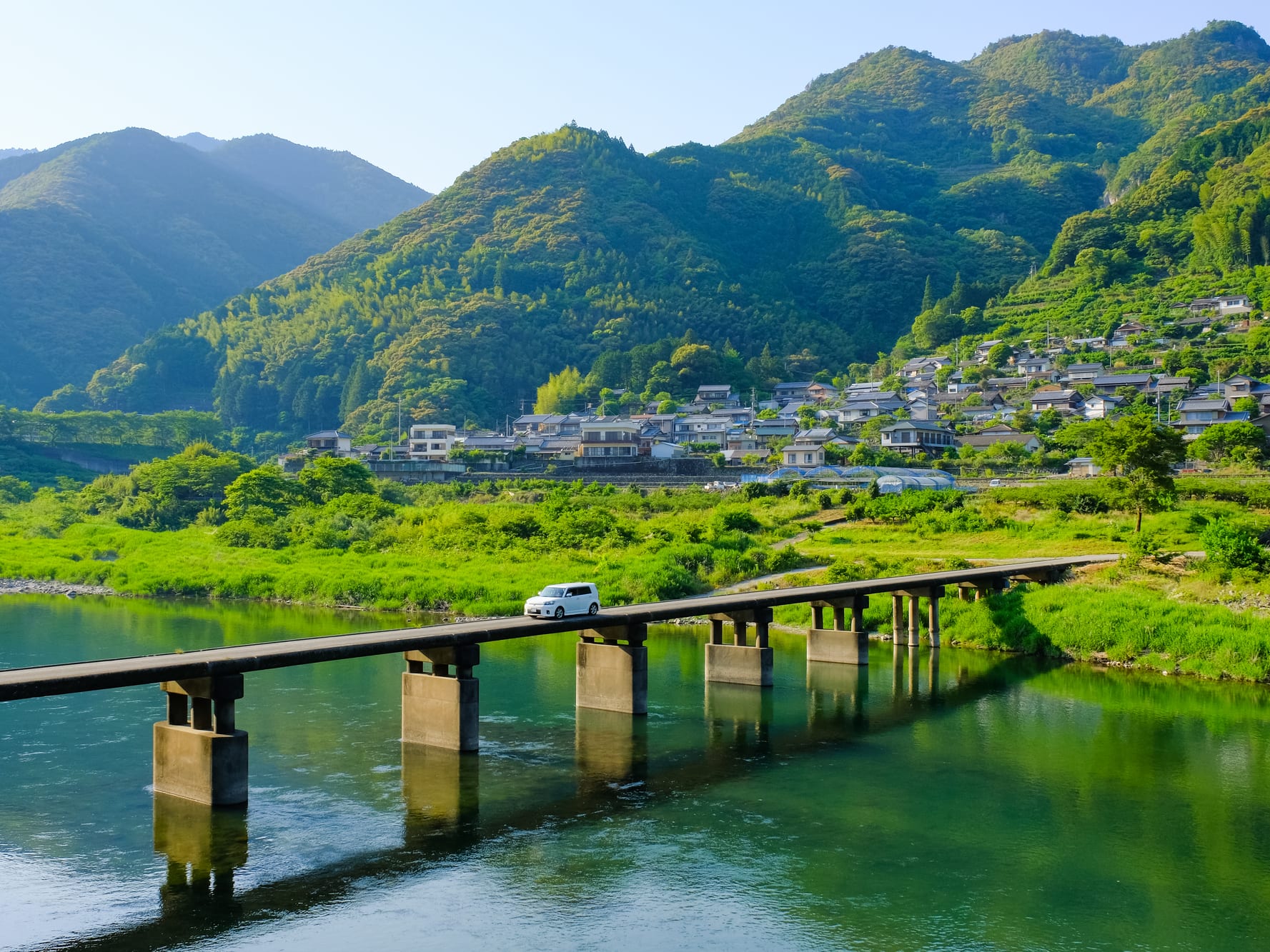 貸切『有川浩の高知案内』ツアー 人気作家おすすめの観光地を巡る