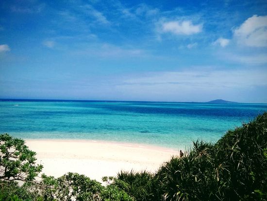 IMG_20200225_132834-EFFECTS