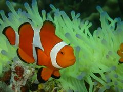 P9170070